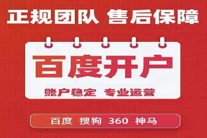 SEM广告投放案例：打造品牌影响力